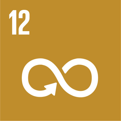 SDG 12 - Responsible consumption and production