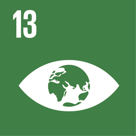 SDG 13 - Climate action