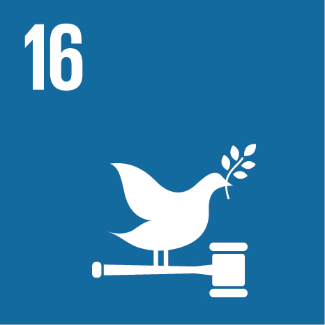 SDG 16 - Peace, justice and strong institutions