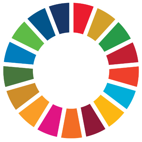 Image of SDG wheel